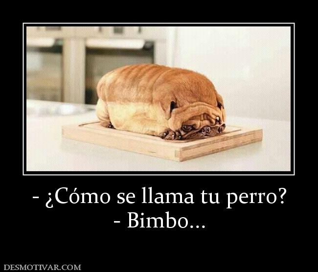 - ¿Cómo se llama tu perro? - Bimbo...