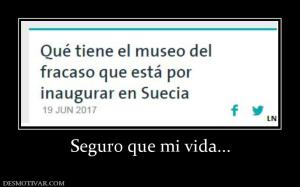 Seguro que mi vida...