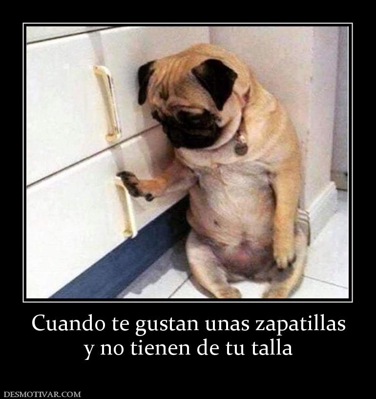 Cuando te gustan unas zapatillas y no tienen de tu talla