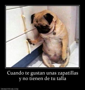 Cuando te gustan unas zapatillas y no tienen de tu talla