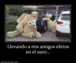 Llevando a mis amigos ebrios en el auto...