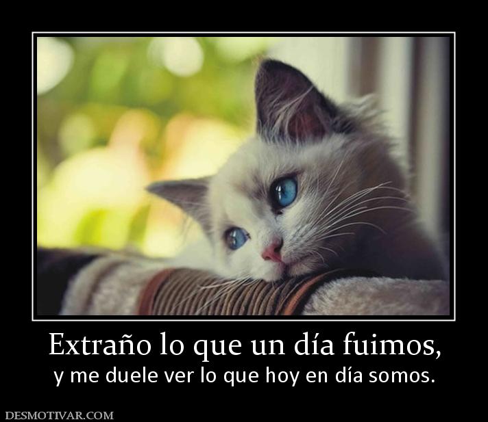 Extraño lo que un día fuimos, y me duele ver lo que hoy en día somos.