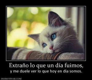 Extraño lo que un día fuimos, y me duele ver lo que hoy en día somos.