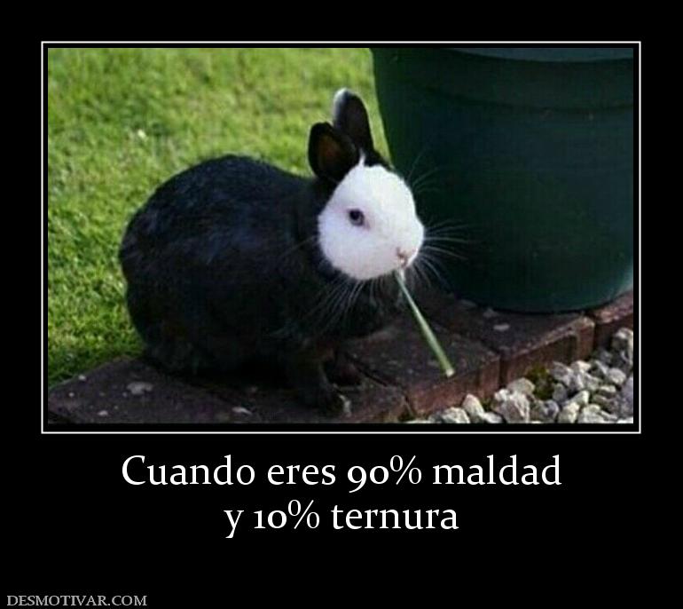 Cuando eres 90% maldad y 10% ternura