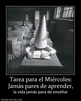 Tarea para el Miércoles: Jamás pares de aprender,  la vida jamás para de enseñar