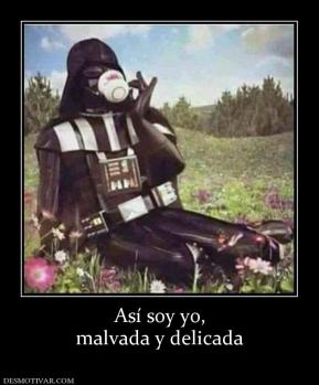 Así soy yo, malvada y delicada