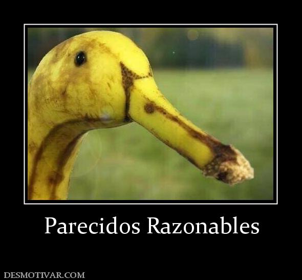 Parecidos Razonables