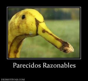 Parecidos Razonables