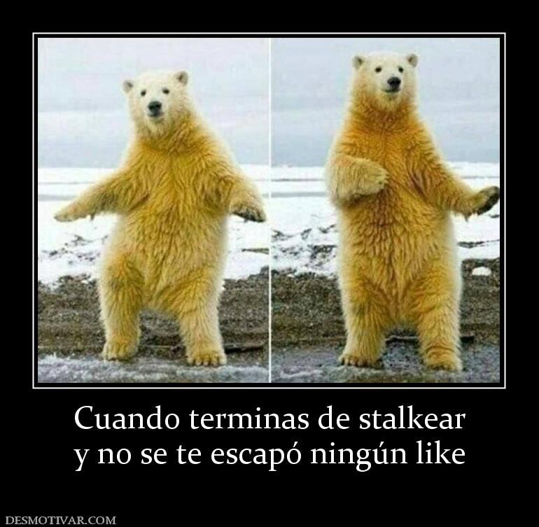 Cuando terminas de stalkear y no se te escapó ningún like