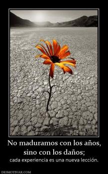 No maduramos con los años, sino con los daños;  cada experiencia es una nueva lección.