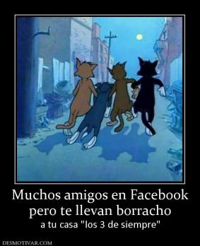 Muchos amigos en Facebook pero te llevan borracho a tu casa