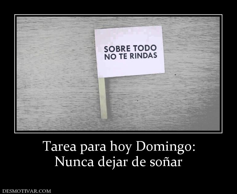 Tarea para hoy Domingo: Nunca dejar de soñar