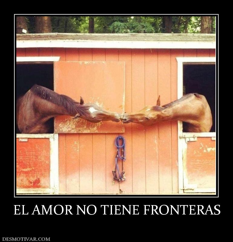 EL AMOR NO TIENE FRONTERAS