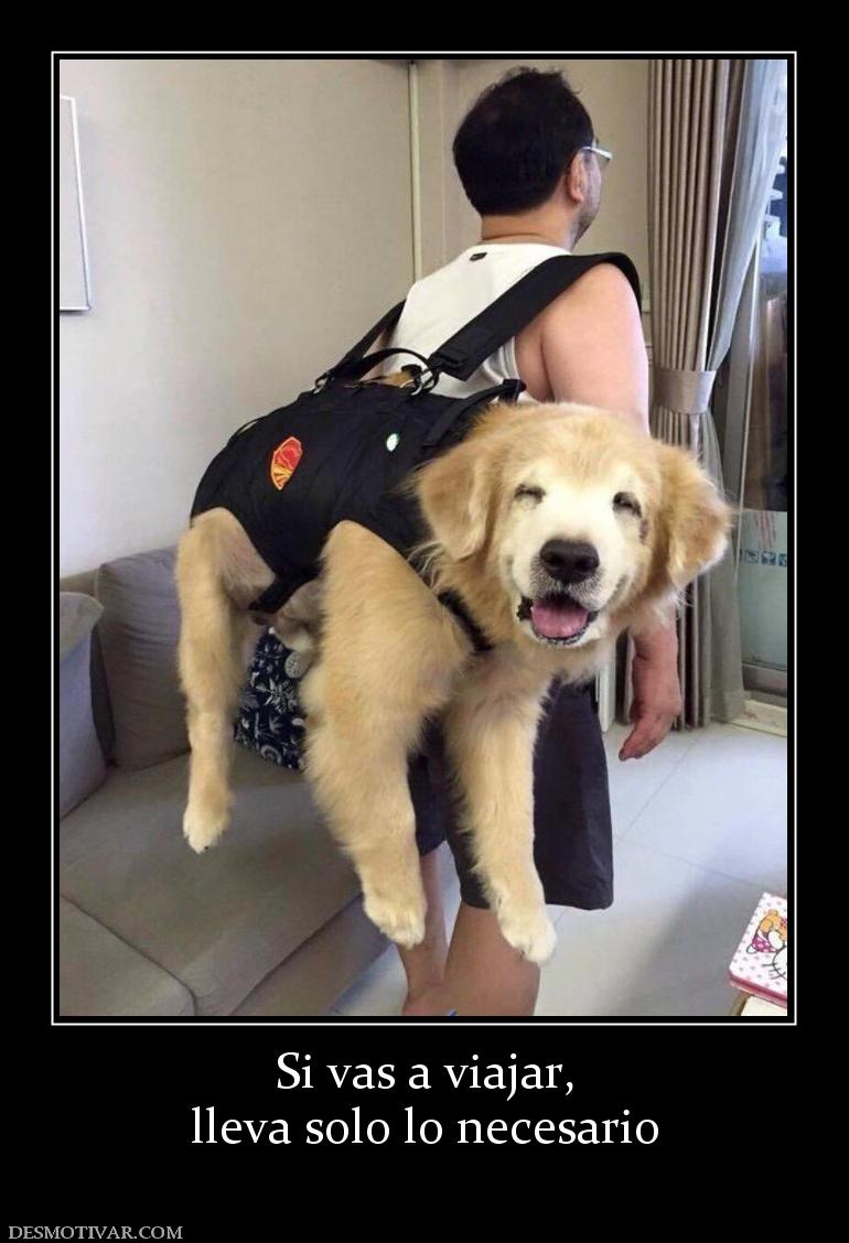 Si vas a viajar, lleva solo lo necesario