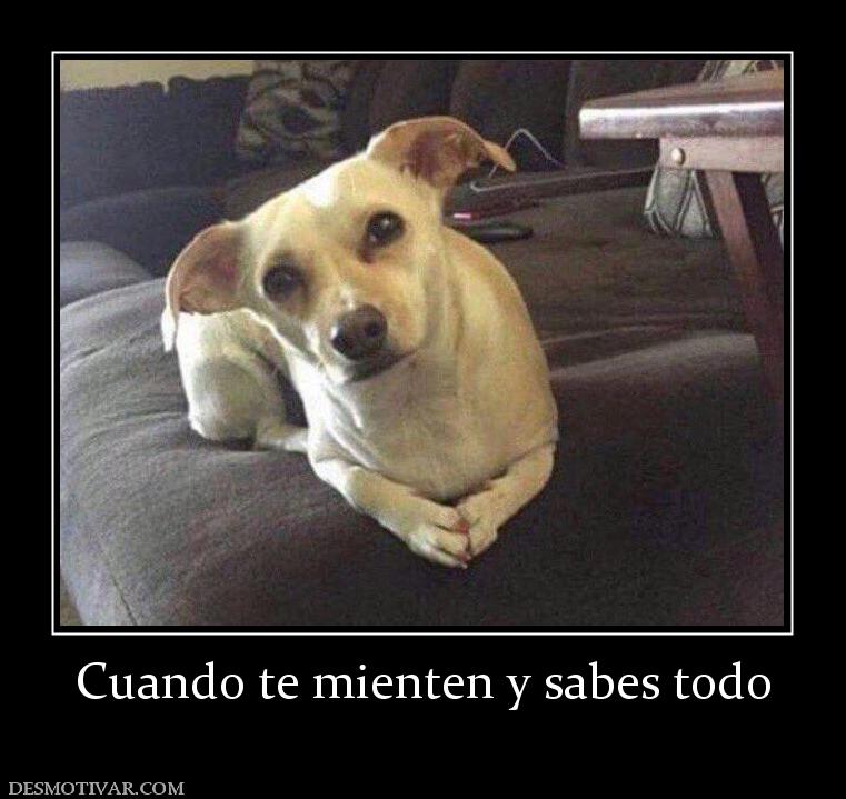 Cuando te mienten y sabes todo