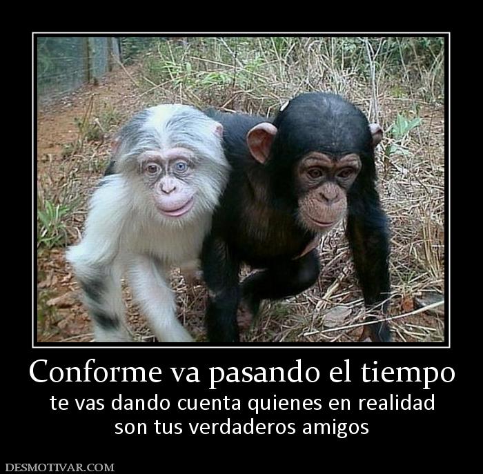 Conforme va pasando el tiempo te vas dando cuenta quienes en realidad son tus verdaderos amigos