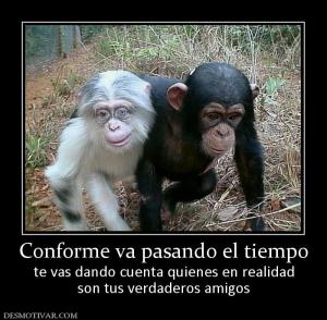 Conforme va pasando el tiempo te vas dando cuenta quienes en realidad son tus verdaderos amigos