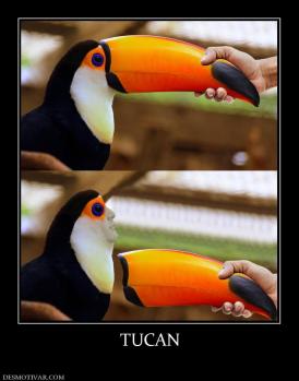 TUCAN