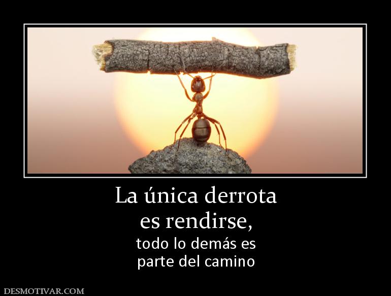 La única derrota es rendirse,  todo lo demás es parte del camino