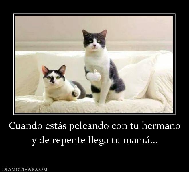 Cuando estás peleando con tu hermano y de repente llega tu mamá...