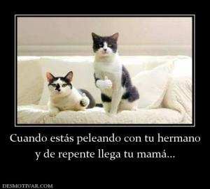 Cuando estás peleando con tu hermano y de repente llega tu mamá...