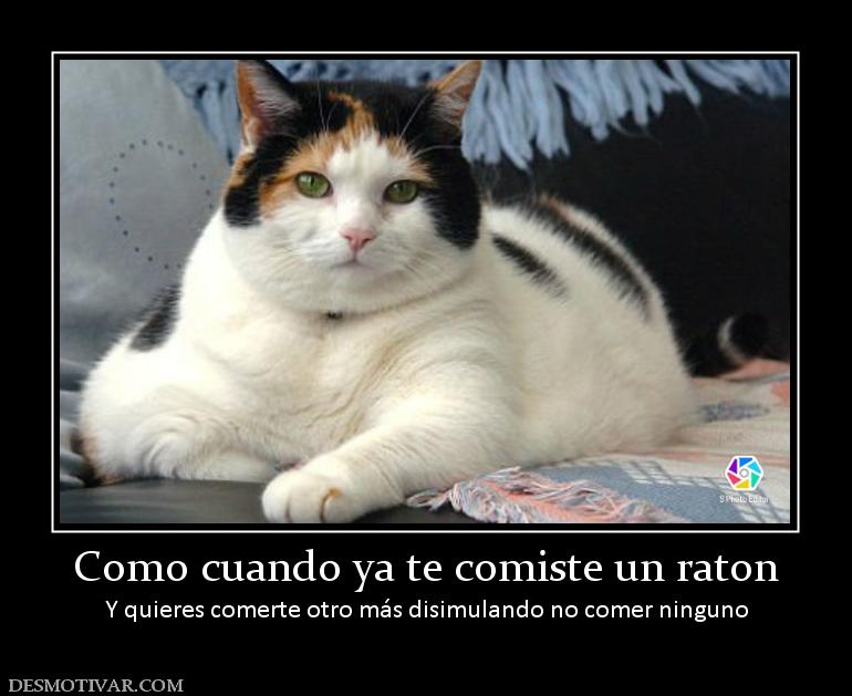 Como cuando ya te comiste un raton Y quieres comerte otro más disimulando no comer ninguno