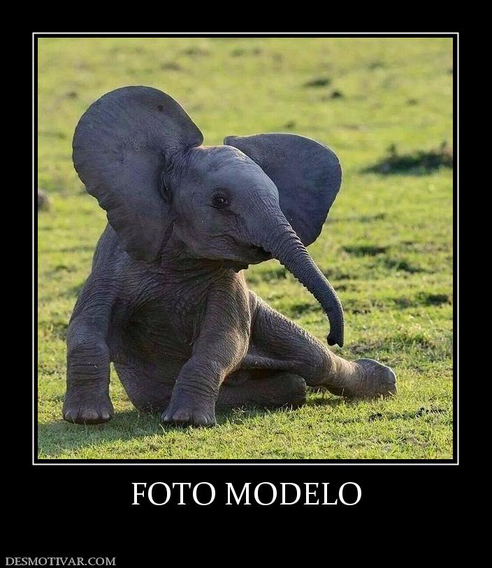 FOTO MODELO