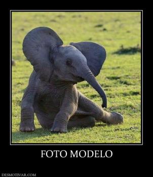 FOTO MODELO