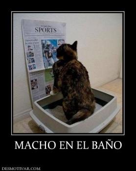 MACHO EN EL BAÑO