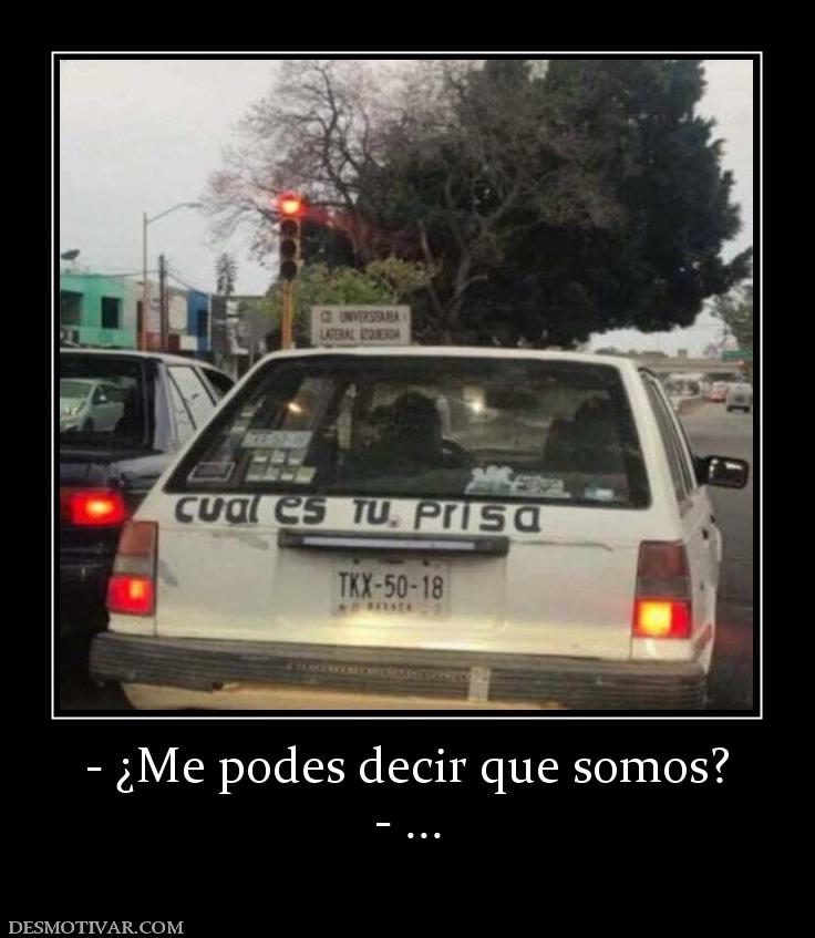 - ¿Me podes decir que somos? - ...