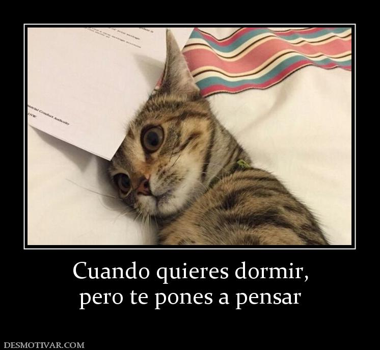 Cuando quieres dormir, pero te pones a pensar