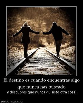El destino es cuando encuentras algo que nunca has buscado y descubres que nunca quisiste otra cosa.