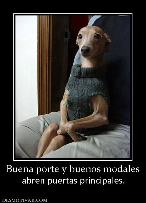 Buena porte y buenos modales abren puertas principales.