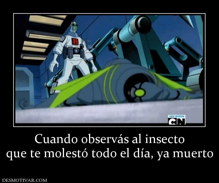 Cuando observás al insecto que te molestó todo el día, ya muerto