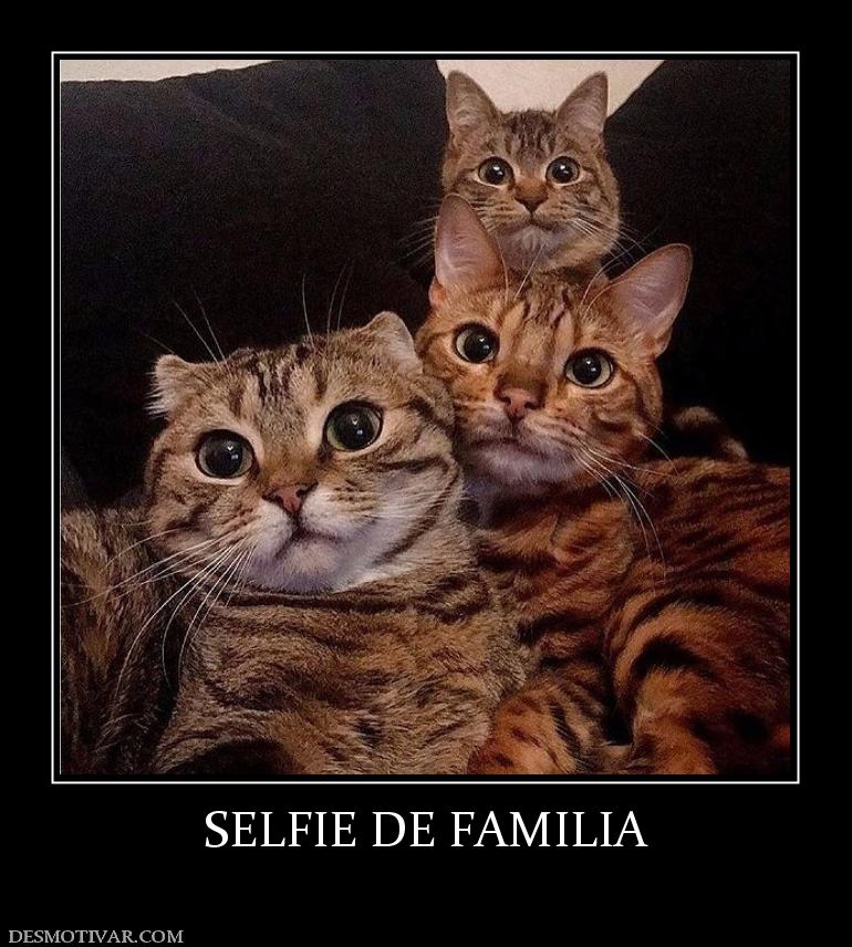 SELFIE DE FAMILIA