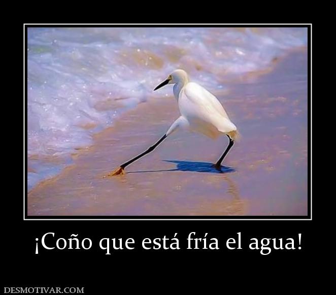 ¡Coño que está fría el agua!