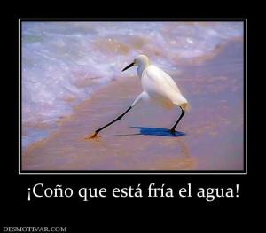 ¡Coño que está fría el agua!