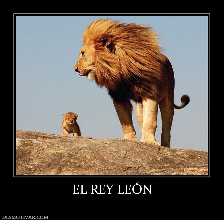 EL REY LEÓN