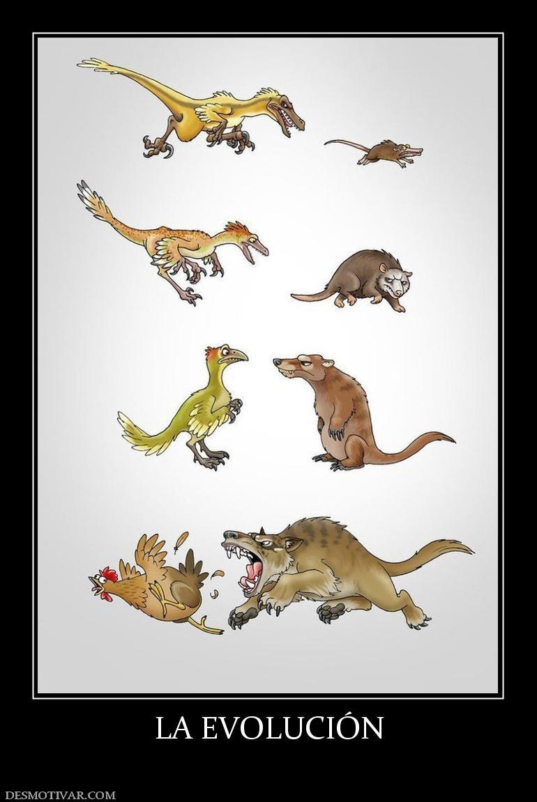 LA EVOLUCIÓN