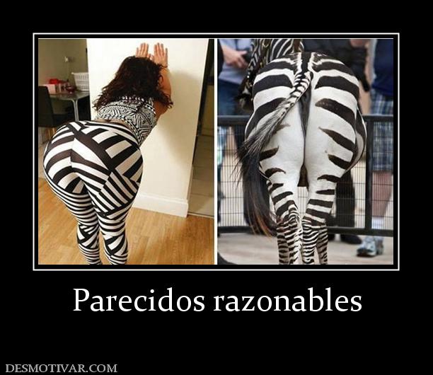 Parecidos razonables