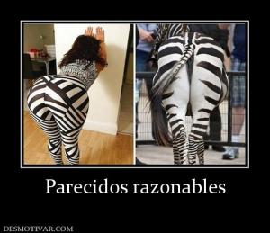 Parecidos razonables