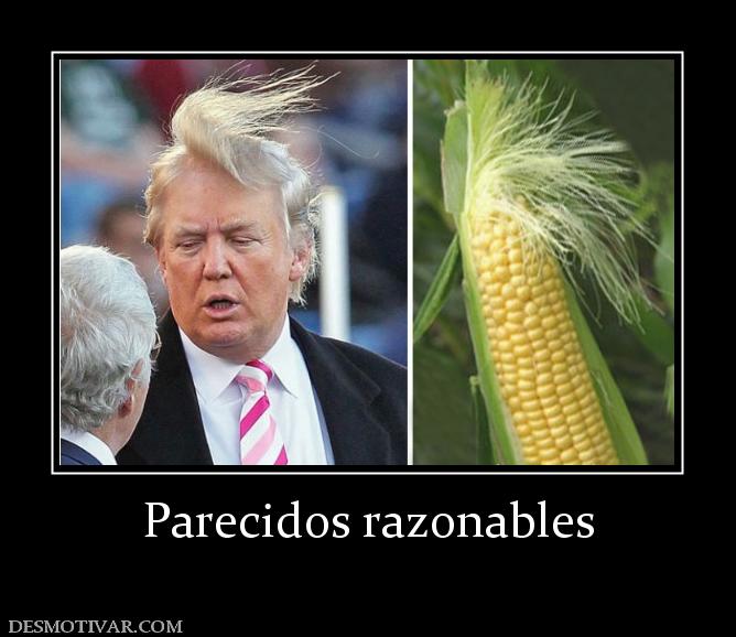 Parecidos razonables