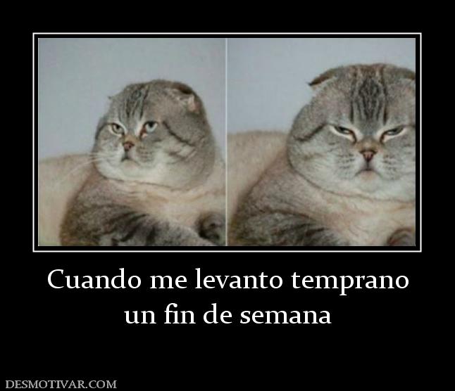 Cuando me levanto temprano un fin de semana