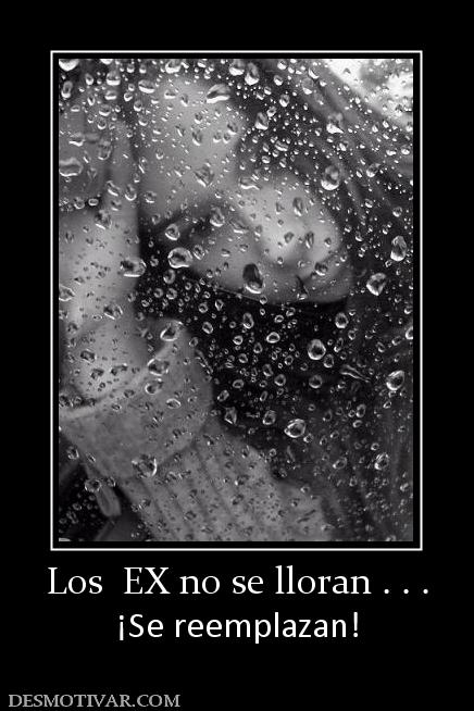 Los  EX no se lloran . . . ¡Se reemplazan!