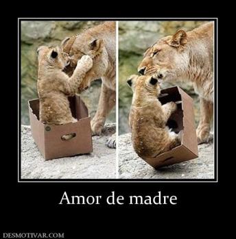 Amor de madre