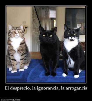 El desprecio, la ignorancia, la arroga
