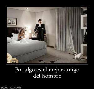 Por algo es el mejor amigo del hombre