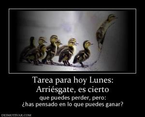 Tarea para hoy Lunes: Arriésgate, es cierto  que puedes perder, pero: ¿has pensado en lo que puedes ganar?