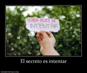 El secreto es intentar