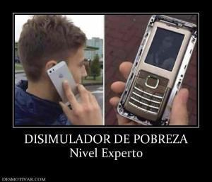 DISIMULADOR DE POBREZA Nivel Experto